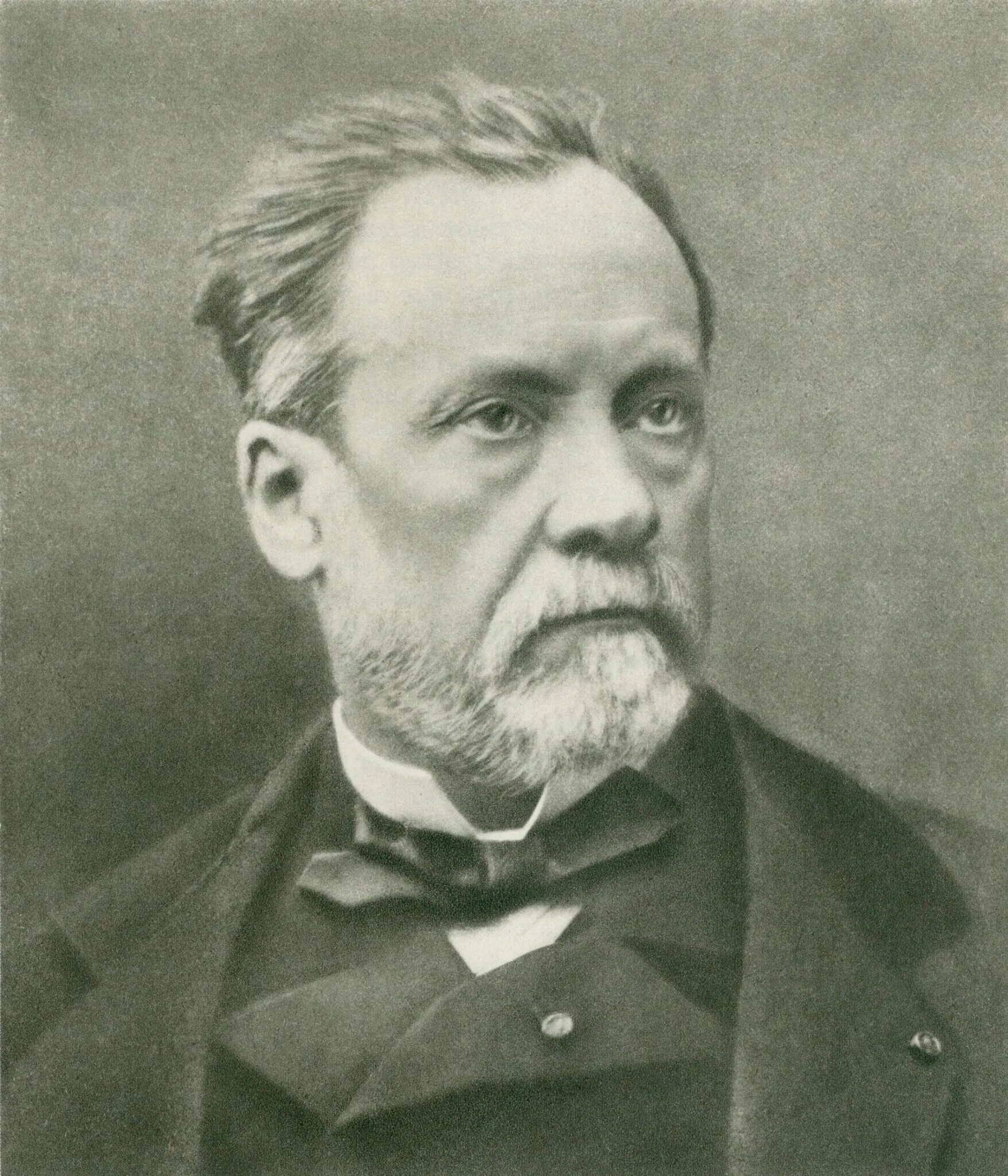 Луи пастер это. Луи пастер. луи пастер (1822-1895). луи пастер ученый. французский микробиолог луи пастер..