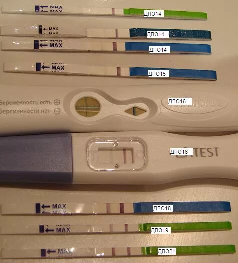 электронный тест на беременность. 7 дпо тест. эвитест 16 дней дпо. положительный тест. отдел дпо электронное тестирование.