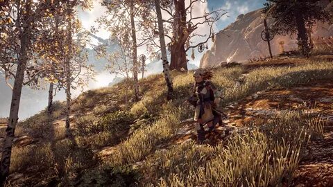Horizon forbidden mod face