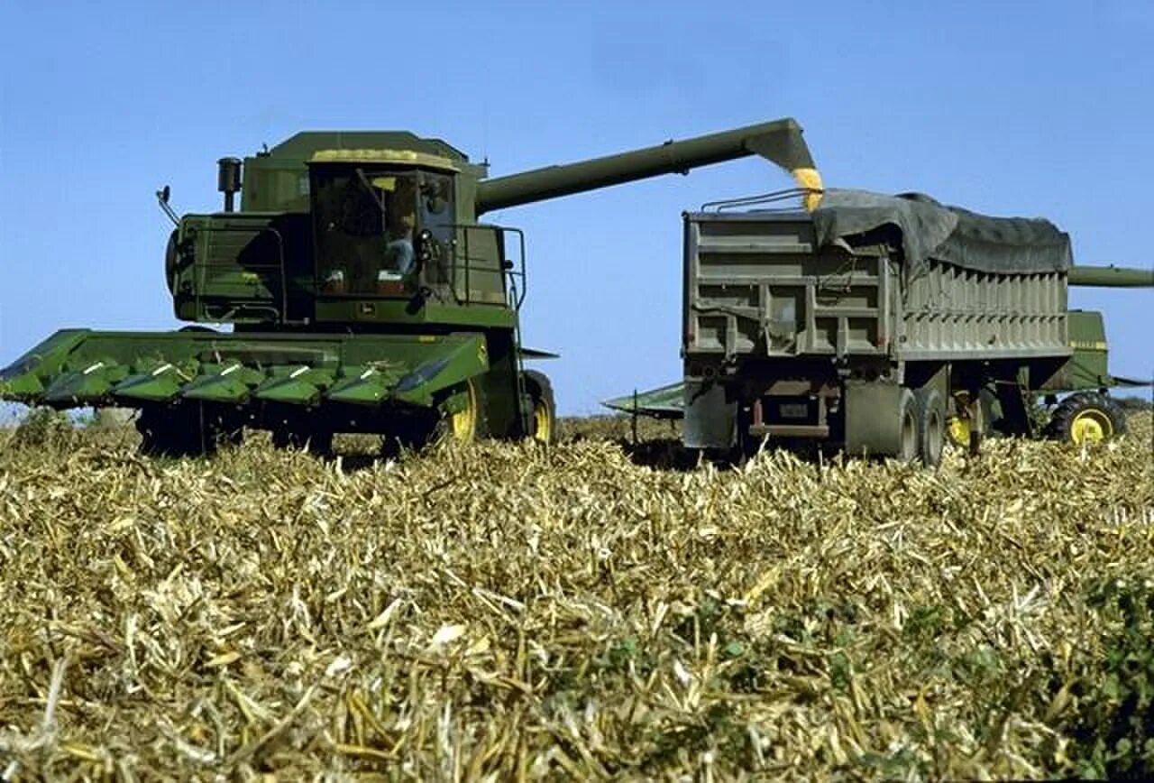 Уборка кукурузы Джон Дир. Уборка гороха комбайном. Жатка комбайна для кукурузы. Уборка гороха