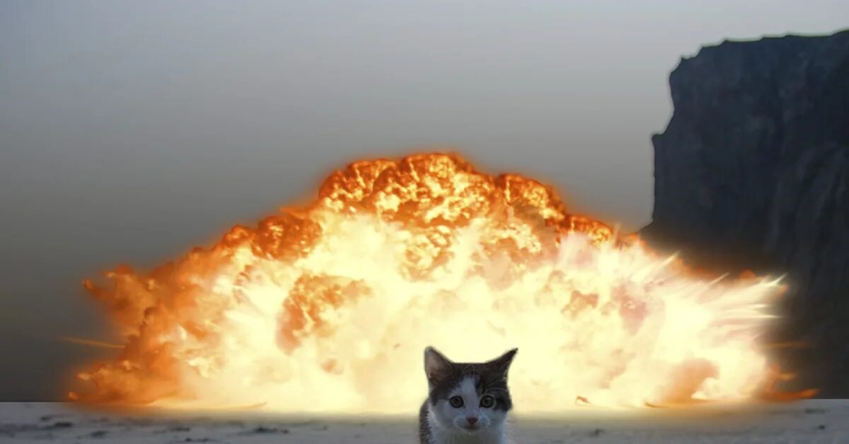 Звуки похожие на взрывы. Кот взрыв. Кот на фоне взрыва. Кот бомбит.