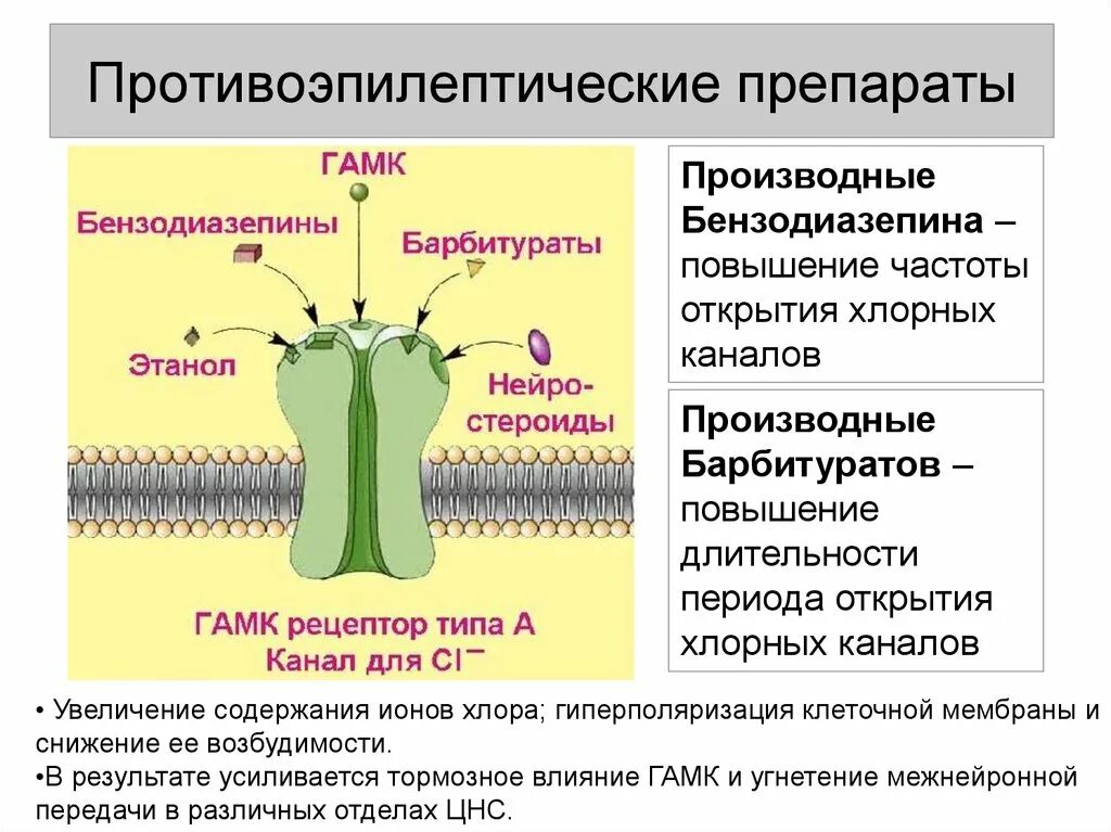 ГАМК/бензодиазепиновый рецепторный комплекс.. ГАМК рецепторный комплекс строение. ГАМК Б Рецептор структура. Бензодиазепиновый сайт рецептора ГАМК.