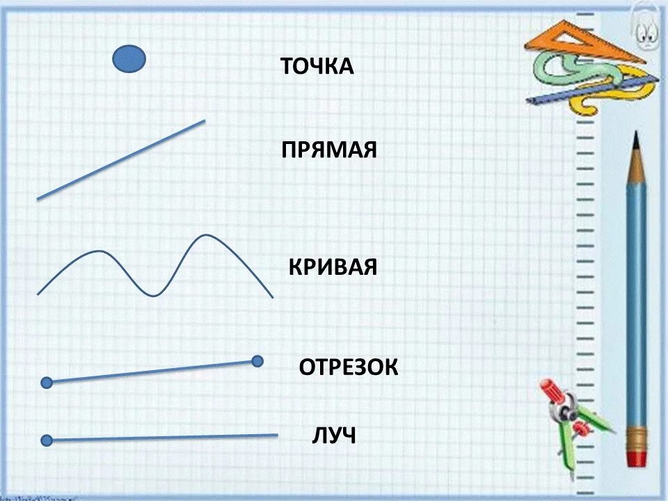 Кваша прямая линия. Точка кривая прямая отрезок Луч 1 класс. Точка прямая линия отрезок Луч. Точка кривая линия прямая линия отрезок Луч 1 класс. Точка кривая линия прямая линия отрезок Луч задания для 1 класса.