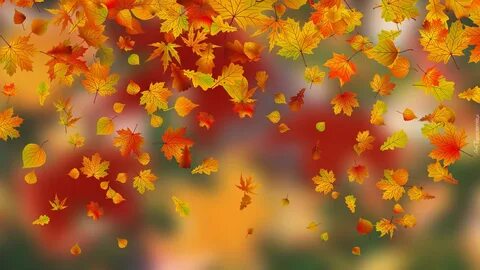 Falling leaves 1.20