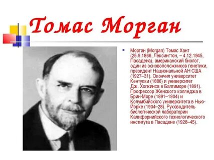Т морган кратко