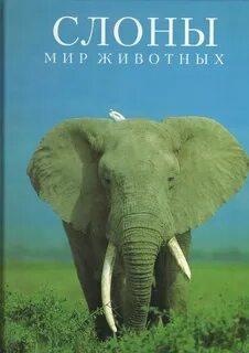 Книга слон
