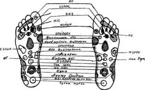 Отбасылық жалаңаш видео