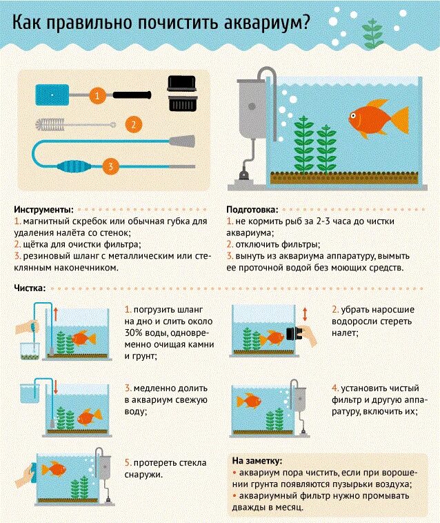 Как ухаживать за аквариумными. Уходу за аквариумом памятка. Памятка по уходу за рыбками. Советы для начинающих аквариумистов. RFR E[F;bdfnm PF HS,FVB D frdfhbevt bycnherwbz.