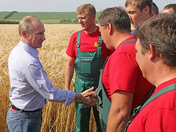 Аграрный работник. Работники сельского хозяйства. работники агропромышленного комплекса. сельхоз работник.