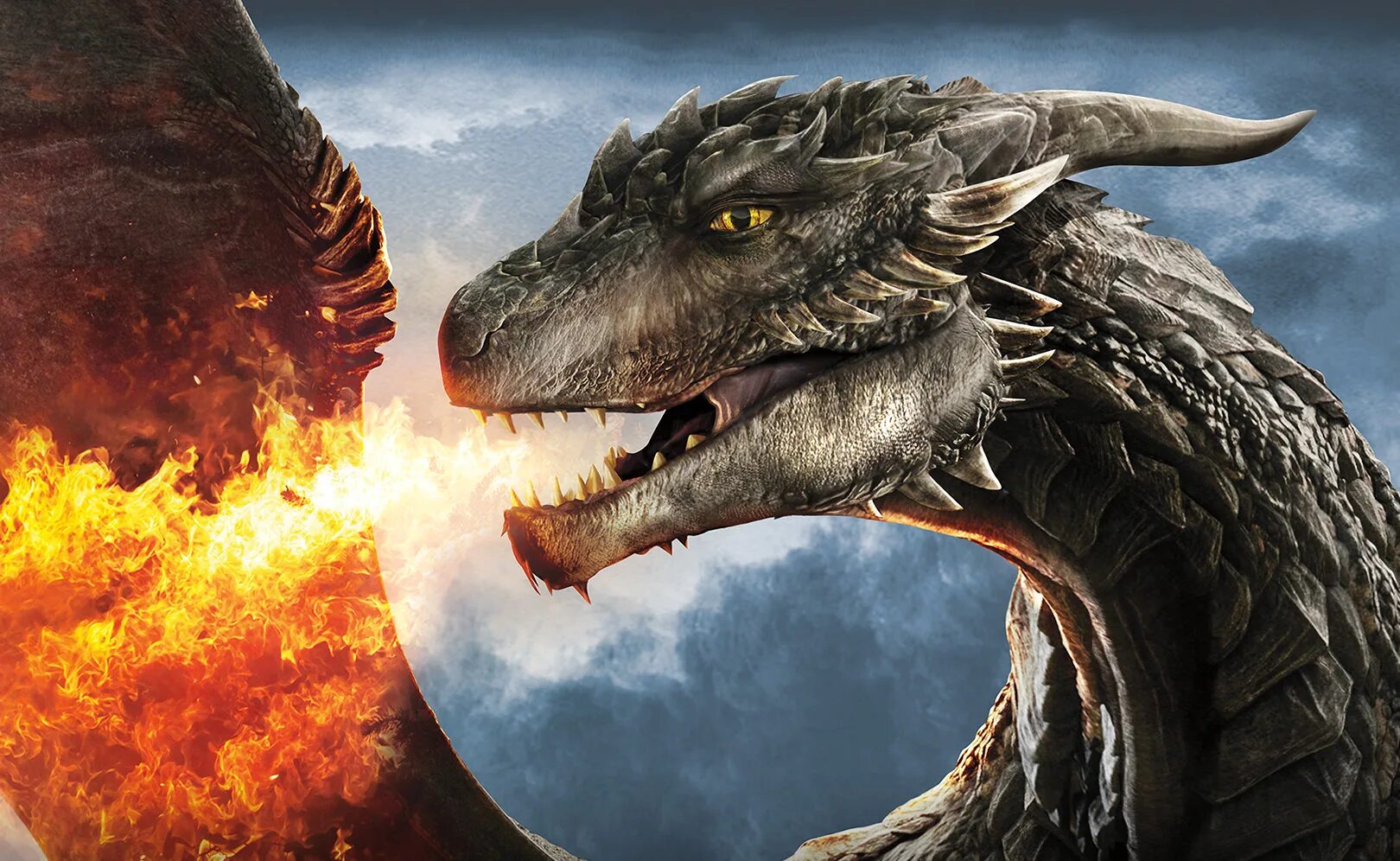 Дракон фэнтези. Дракон одавинг арт. Фиолетовый дракон спайро. Dragon turkce. Дракон хаоса тиамат.