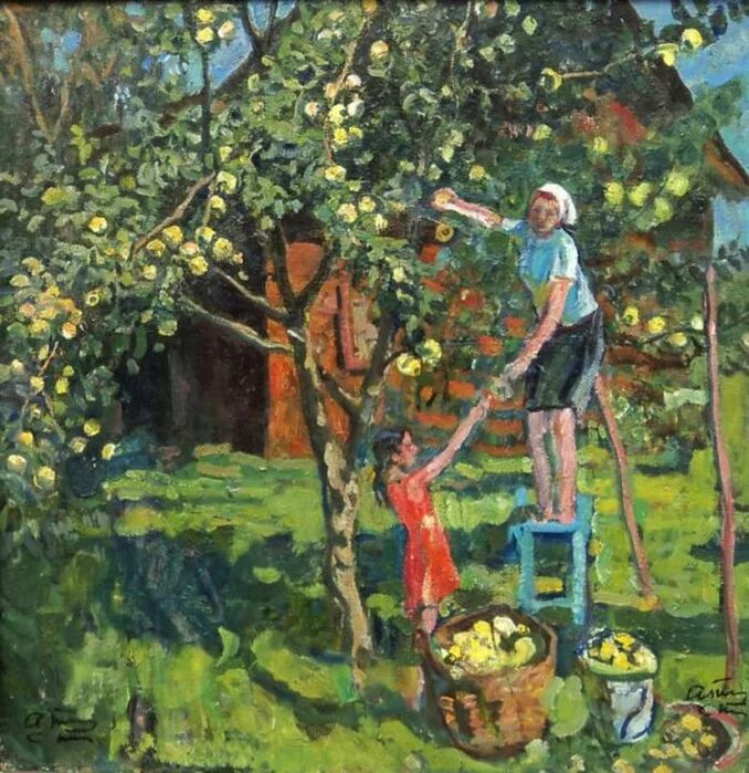 We are gathering apples in the garden