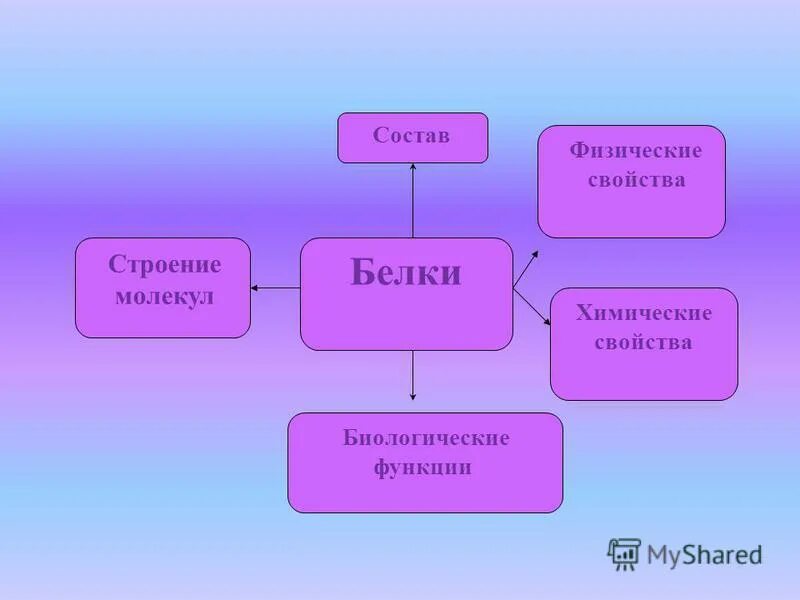 Функции биологических молекул