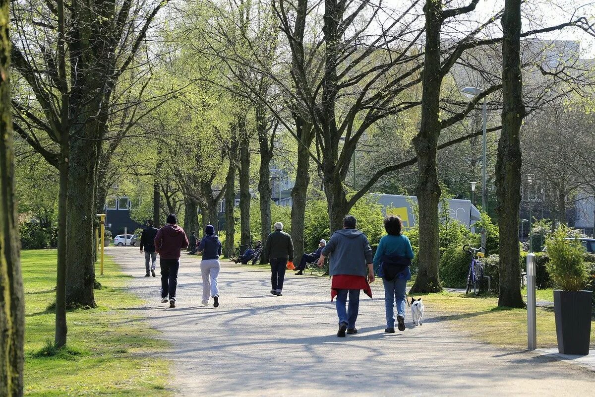 He walks in the park. Парк для прогулок. Прогулка по парку. Прогулка в парке. Парк с людьми.