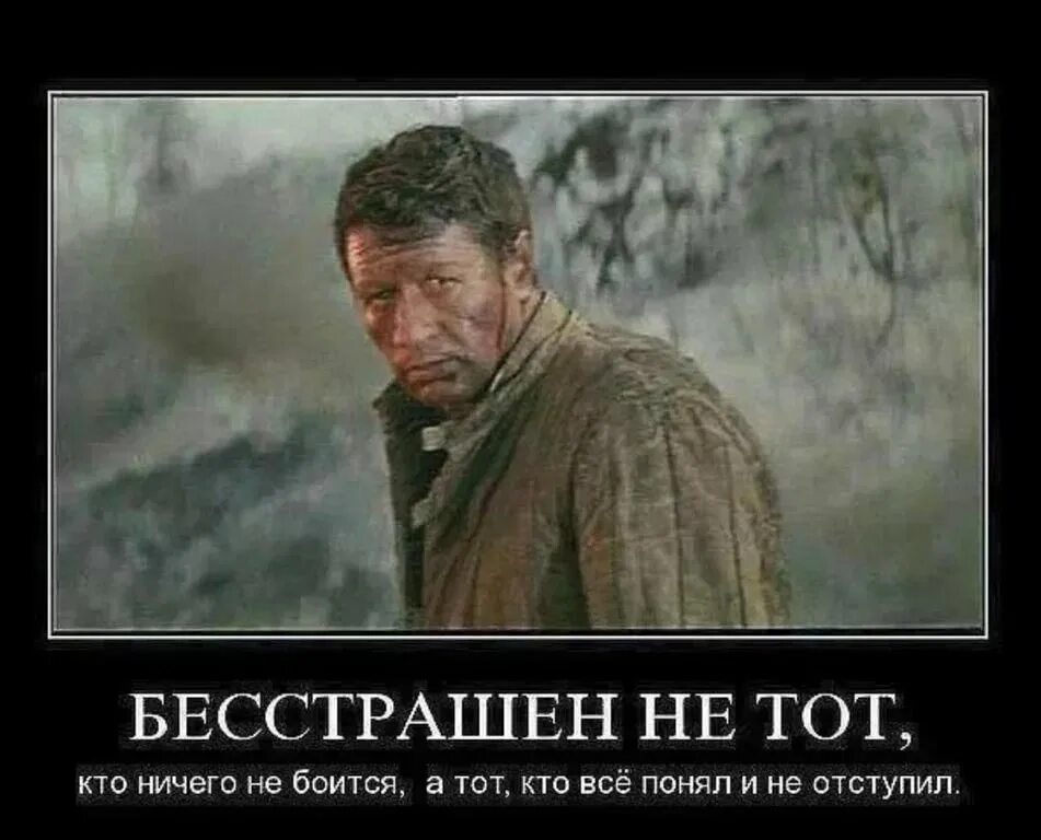 Бесстрашен не тот кто ничего не боится. Бесстрашен не тот кто не боится а тот кто все понял и не отступил. Мужчины не плачут мужчины огорчаются. Кто все понял и не отступил.