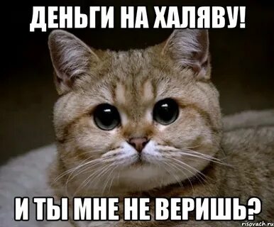 Конечно тебе а что