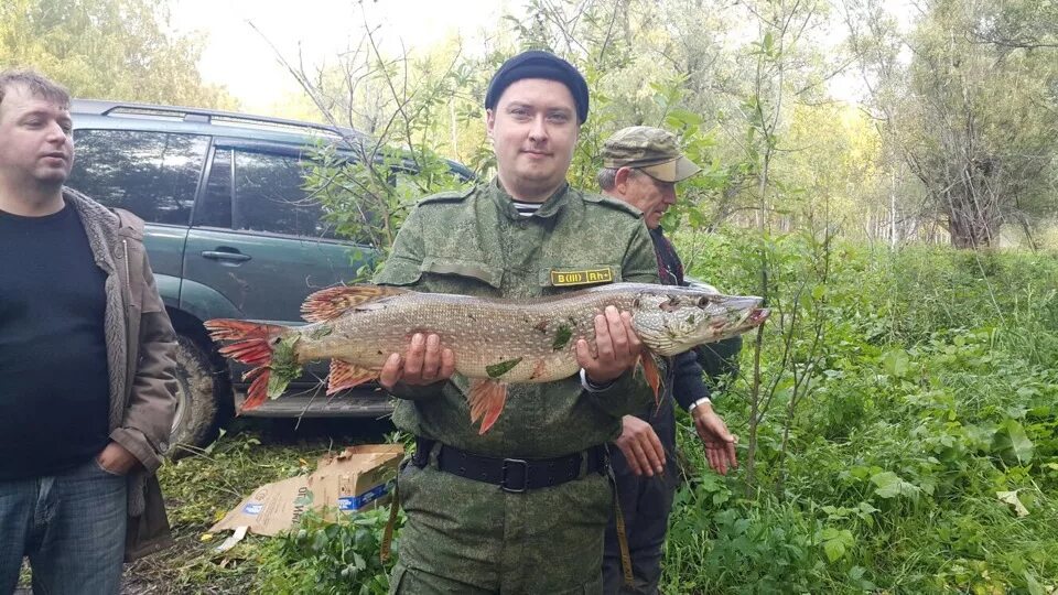 Рыба в Тевризе. Бристоль Тевриз Омская область.