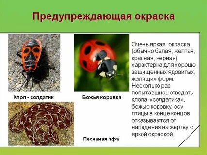 Предостерегающий пример
