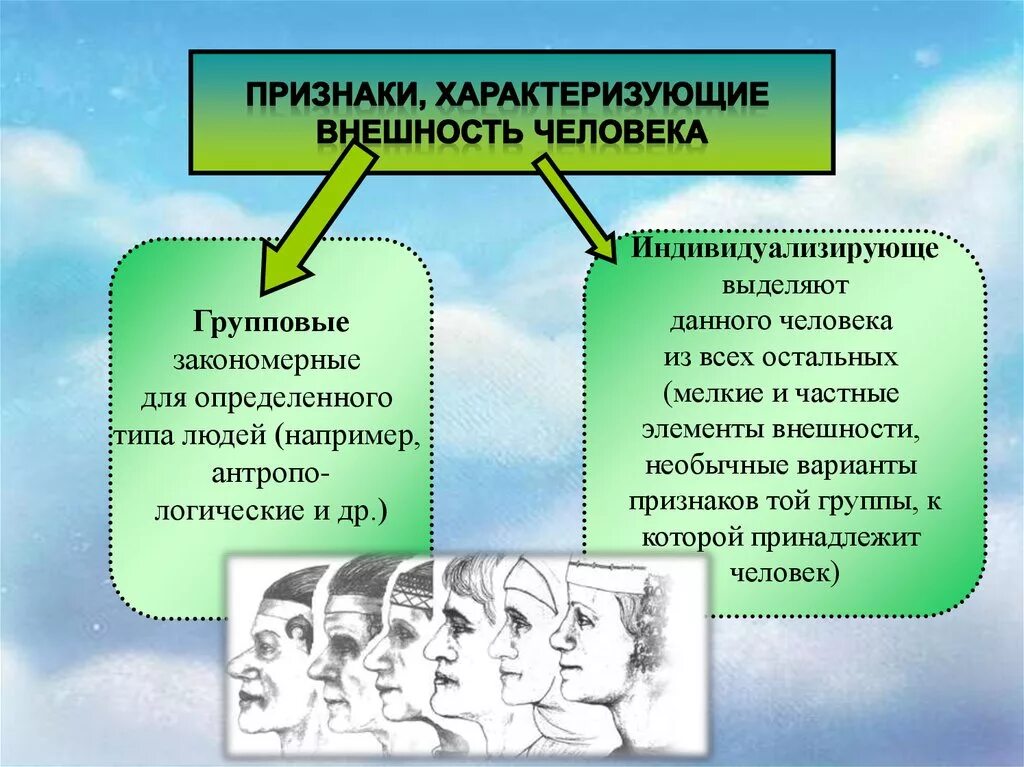 Классификация признаков внешности человека. Внешние признаки человека. Признаки внешности человека в криминалистике. Внешний облик человека габитоскопия. Главные признаки народа