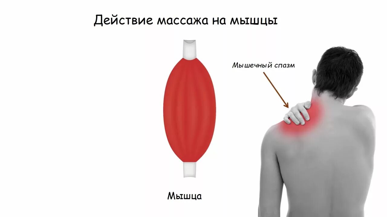 Массажные действия. Влияние массажа на мышцы. Воздействие массажа на мышечную систему. Влияние массажа на мышечную систему. Воздействие массажа на организм.