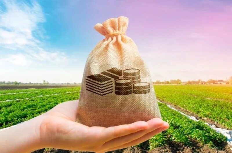 Хлебороб. Субсидии аграриям. Сельское хозяйство аграрный сектор. Аграрии получат. Субсидии аграриям.