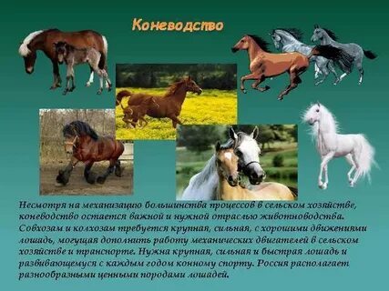 Сельскохозяйственные животные окружающий мир 3 класс