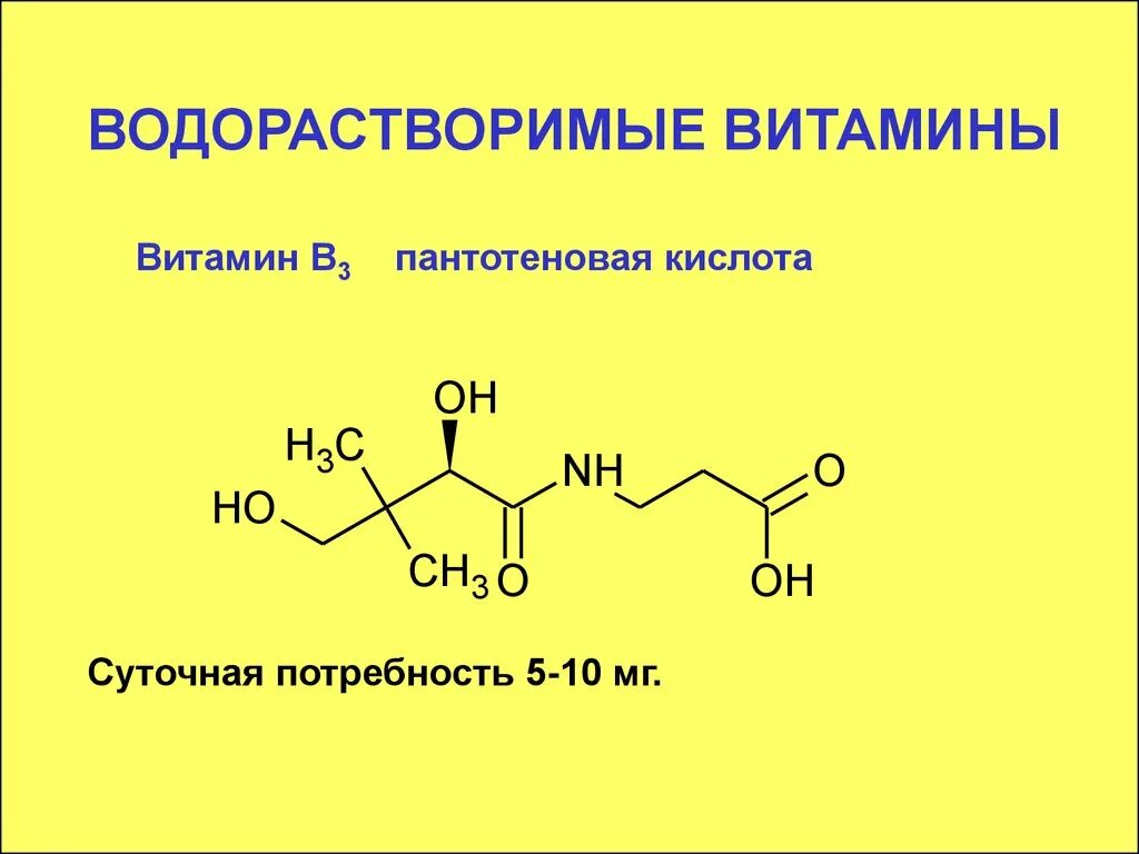 1 водорастворимые витамины. Водорастворимые витамины. Водорастворимые водорастворимые витамины. Витамин р водорастворимые витамины. Водорастворимые витамины схема.