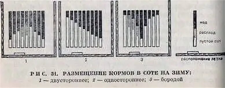 Как собрать гнездо пчел на зиму. Сборка пчелиного гнезда на зиму в даданах. сборка гнезда пчел на зиму зимовка. сборка гнезда пчел. сборка пчелиного гнезда в зиму.