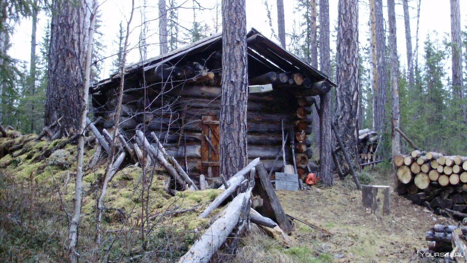 Таежная Заимка Карелия. Зимовье в Эвенкии. Охотники в тайге Эвенкии. Промыслов в тайге охота