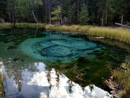 В какой стране нет гейзерных полей