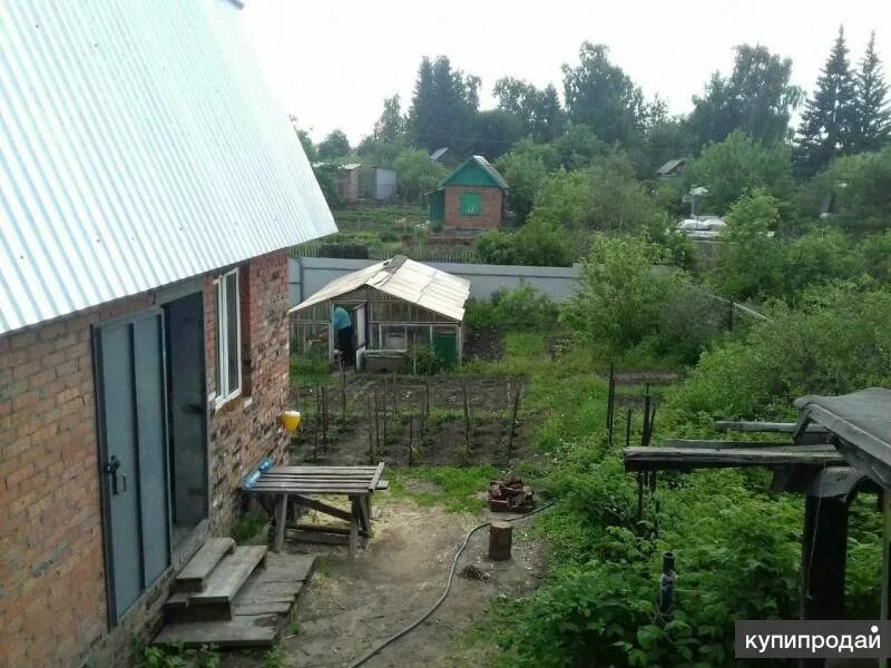 СНТ Березка Омск. Дача в Амурском поселке. Омск Амурский поселок дачи. СНТ берёзка Комсомольск на Амуре. Березка 22