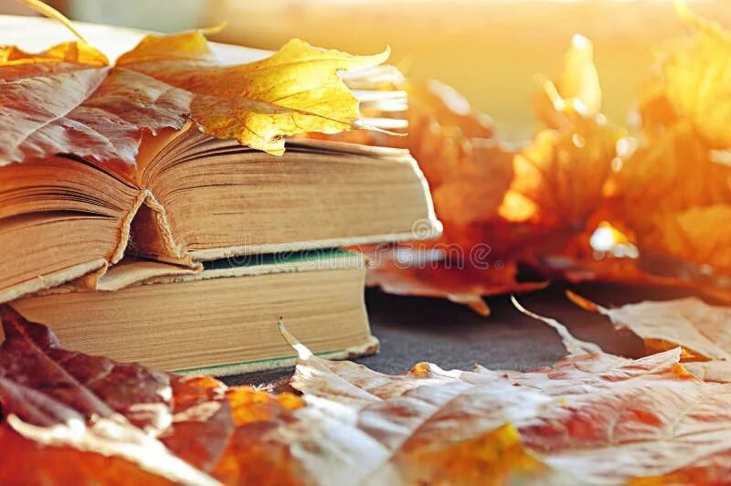 Осень поэзия. Осень интересные книги. Август книга. Осень интересные книги. Листая осени страницы.