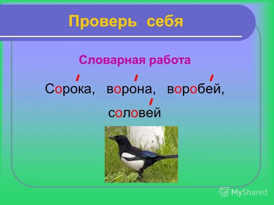 Ворона сорока Воробей. Словарная работа ворона. Словарная работа Соловей. Словарная работа сорока.