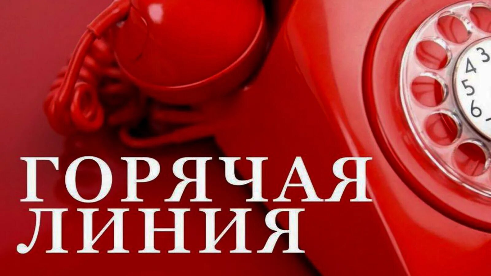Горячие линии. Горячая линия. Телефоны круглосуточной горячей линии. Горячая телефонная линия. Горячая линия по незаконным сборам денежных средств.