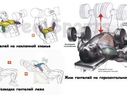 Гантели для грудных мышц для мужчин