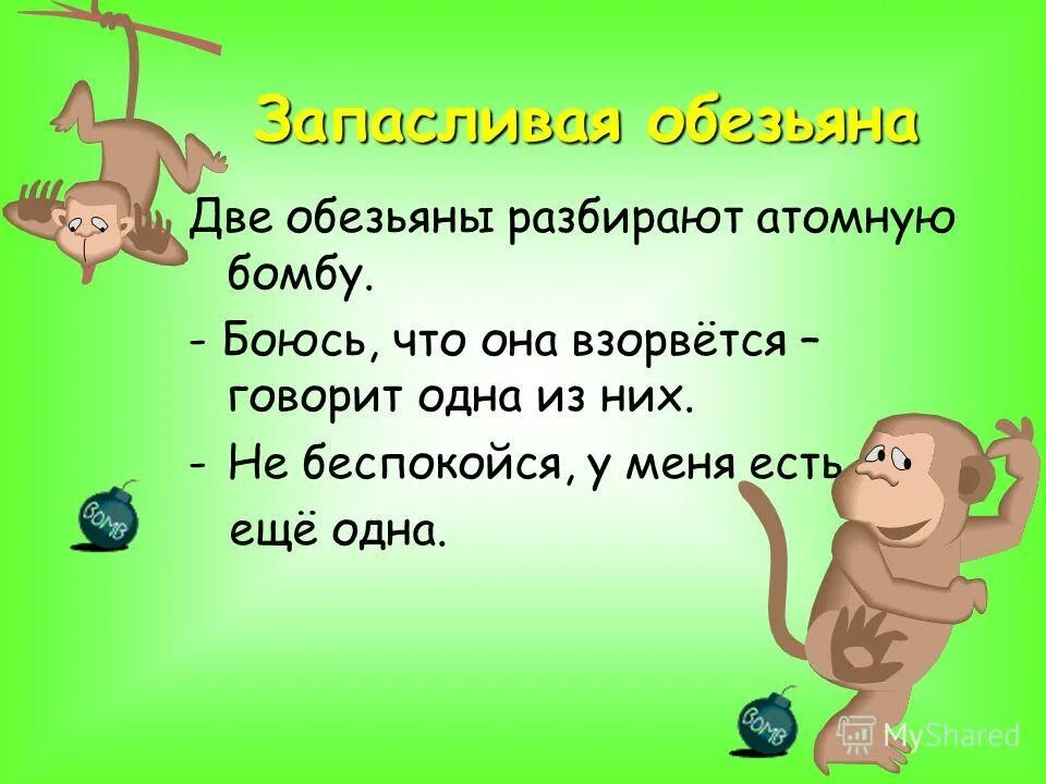 фонетический анализ слова обезьяна. белка фонетический разбор. приколы с обезьянами как они воруют еду. обезьяны разбирают. обезьяна разбор.