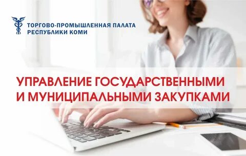 Курсы обучения тендерам с нуля