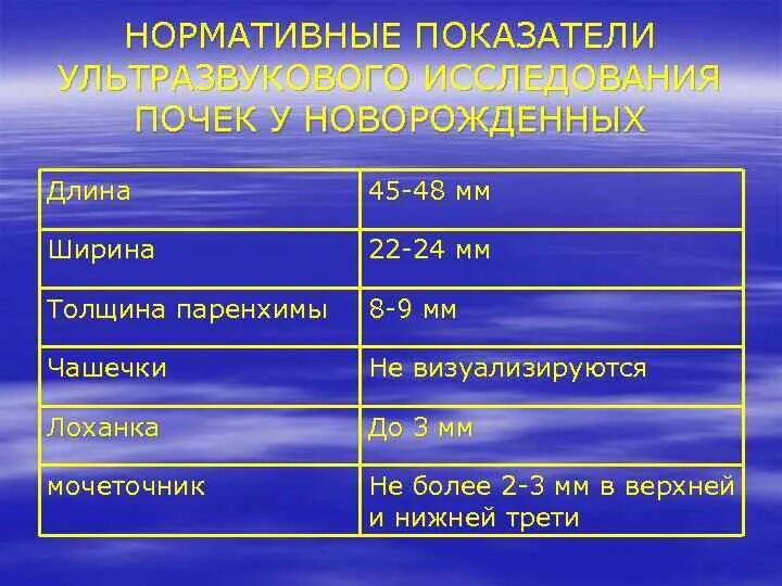 Размер почек у взрослых мужчин. Норма почечных лоханок у новорожденных детей. Размер лоханки почки у ребенка норма. Диаметр лоханки в норме. Размер лоханки почки норма.