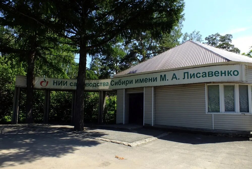 Институт лисавенко барнаул. А. Ниисс им. А. Здание института им.