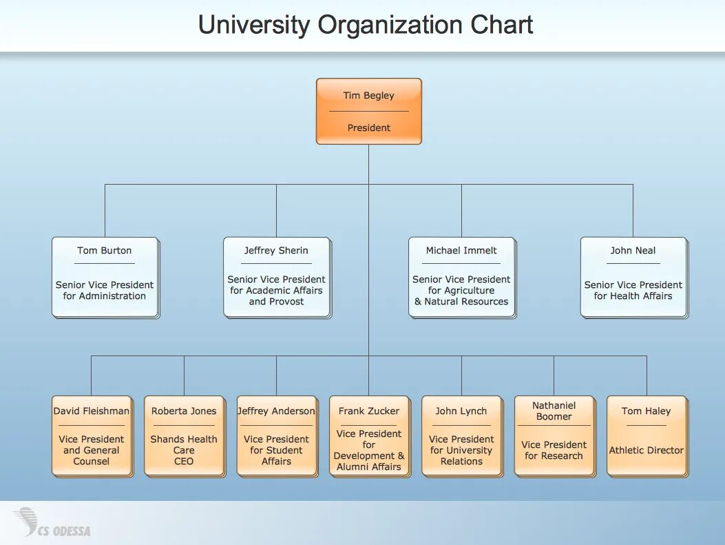 Structure of university. Организационная структура. University organization. University organization. Организационная структура английской школы.