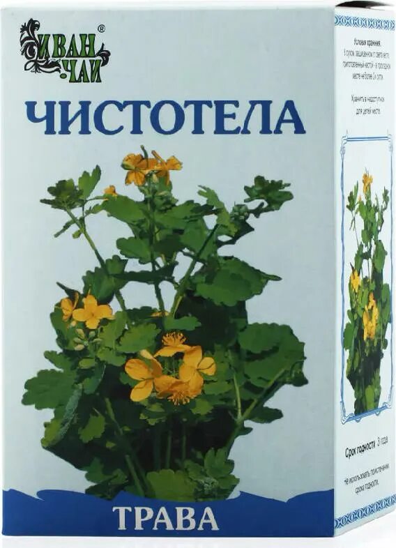 Чистотел трава аптека. Чистотел. Чистотел в аптеке. Чистотел трава в аптеке. БАД чистотел.