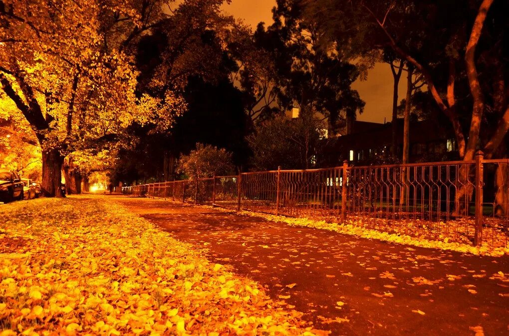 Осенняя ночь. Осень ночь. Осенний вечер. Вечерний осенний парк. Осенняя ночь сентябрь