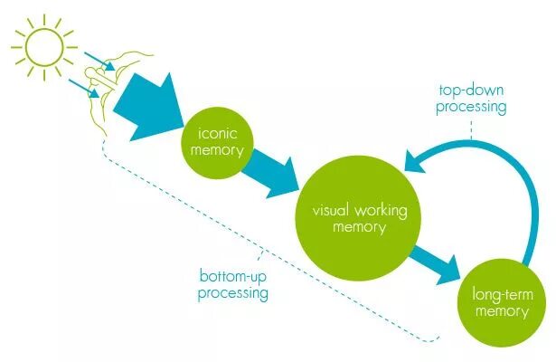 Visual memory