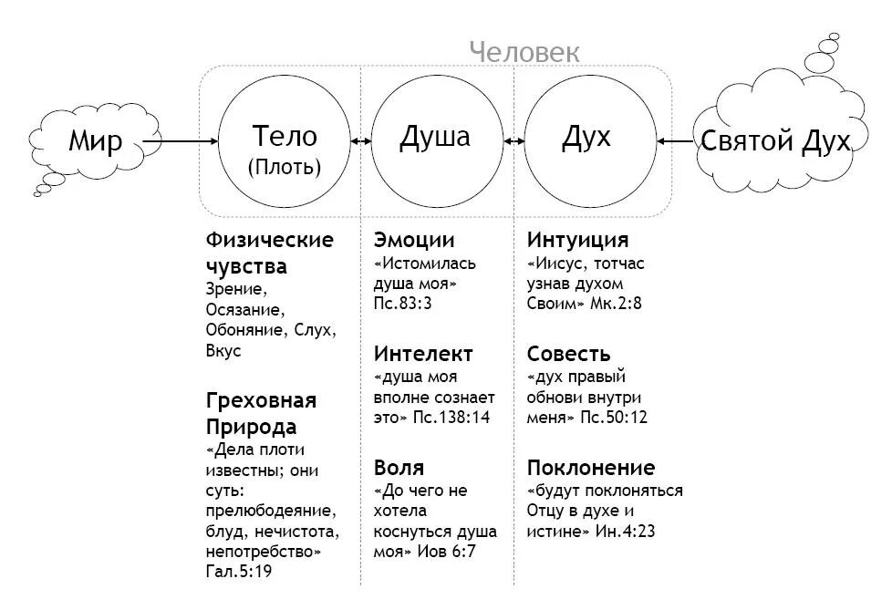 Дух, душа и тело. Человек дух душа тело. Составляющие человека тело душа дух. Тело душа и дух в православии.