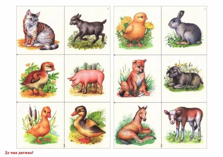 Развитие, обучение детей - Neposed.net ВКонтакте Animals, Dogs, Old friends