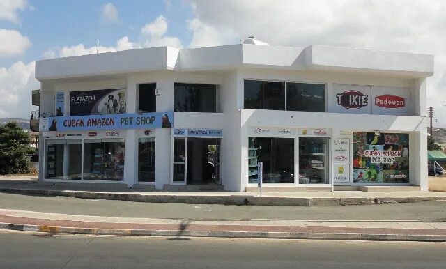 пафос стиль. пафос flairs. виллы на кипре у моря. пафос стиль. брендовые бутики.