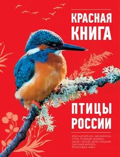 Красная книга список птиц
