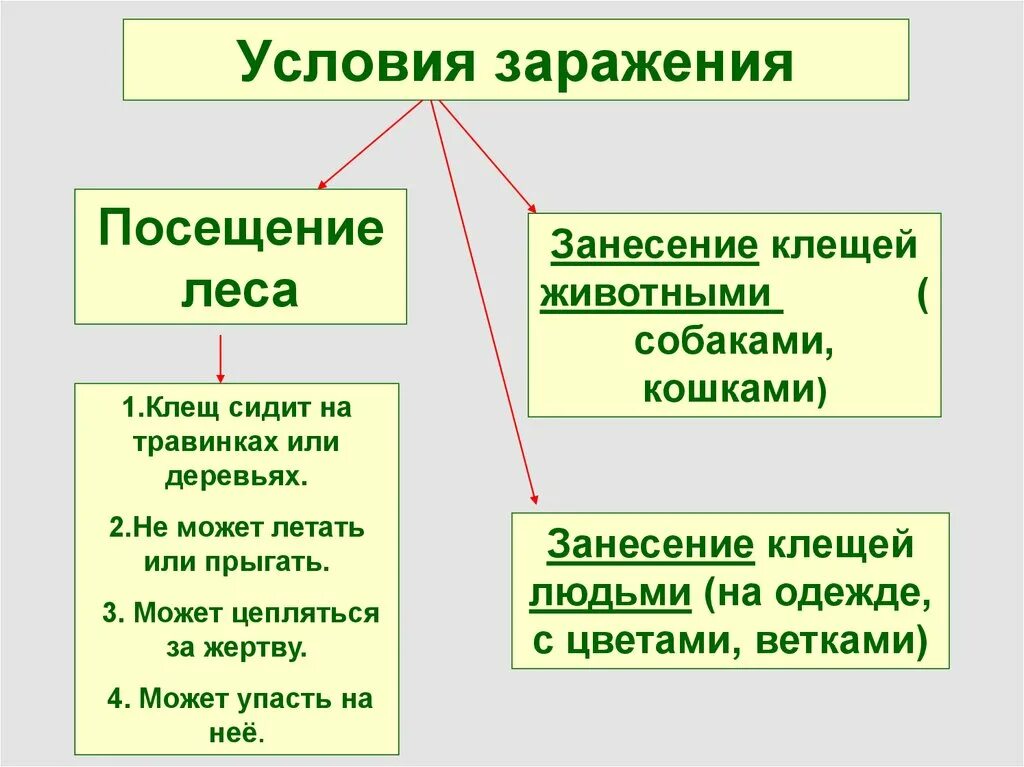 Условия заражения это. Сифилис пути заражения. Условия заражения. Условия заражения. Условия заражения.