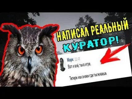Как настроить филин