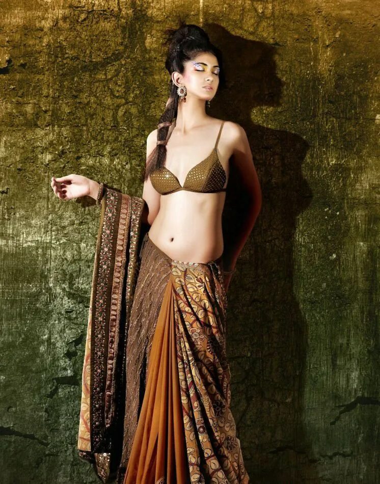 Reha Saree. Индийская модель горячие. Позы в Сари. Индийские модели горячее. Сари сол