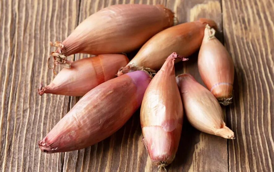 Цебруне лук шалот. Цебруне лук шалот. Лук севок шалот. Лук шалот банановый деликатес. Лук-севок шалот цебруне.